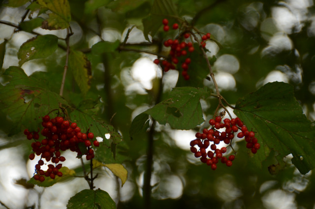 d0237095_17465863.jpg