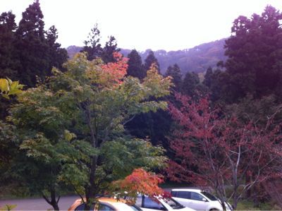 今日の紅葉_d0178999_18164114.jpg