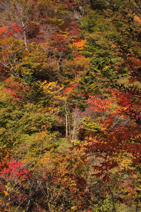 c0248100_23381966.jpg