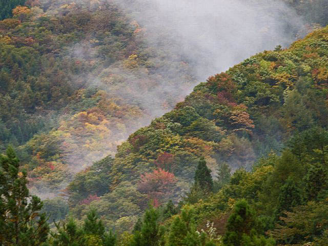c0008502_10205497.jpg