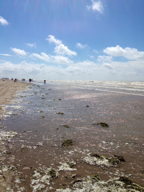 a0060003_8102345.jpg