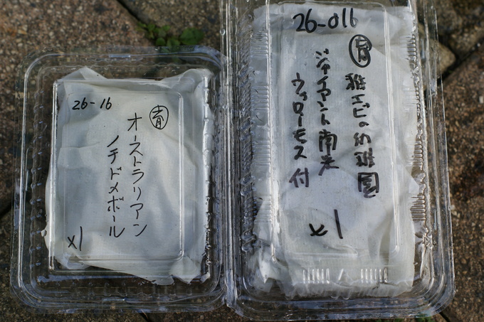 a0249003_16205424.jpg
