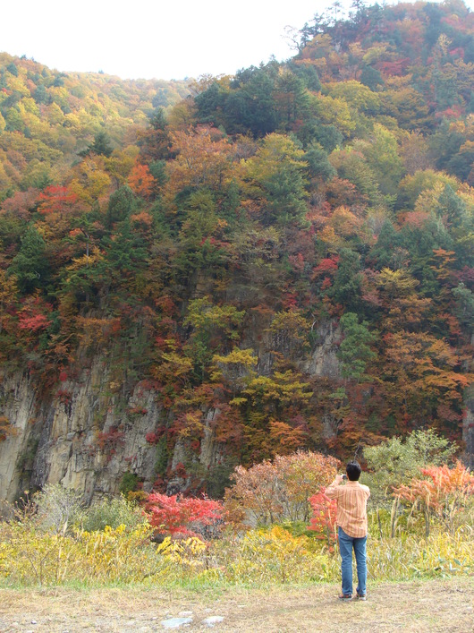 d0087503_123020.jpg