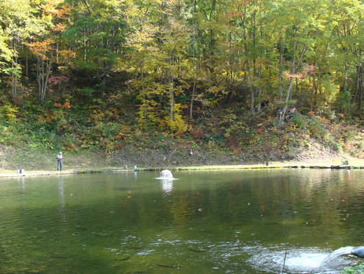d0087503_1272610.jpg