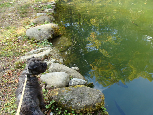 d0087503_129326.jpg