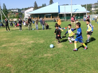 2012.10.27・28　ＡＦＡスギっ子ＣＵＰ_e0127003_013668.jpg
