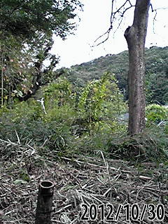 e0270403_5344874.jpg