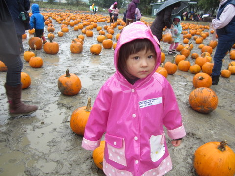 a0208804_13131425.jpg