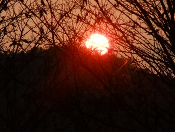 d0024504_23303099.jpg