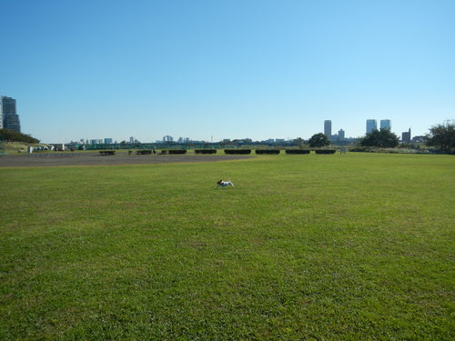 a0229205_10565499.jpg