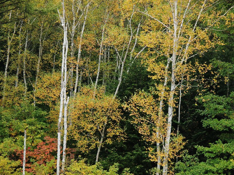 b0231705_234261.jpg