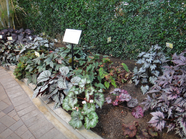 c0105306_20455220.jpg