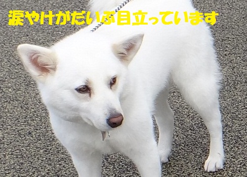 f0121712_16204599.jpg