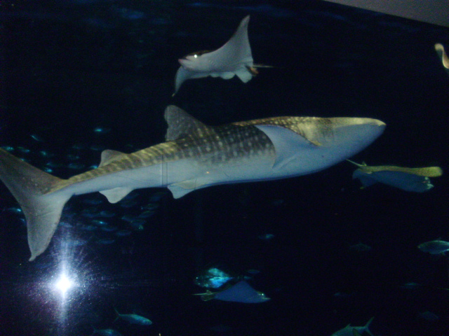 f0153112_2021163.jpg