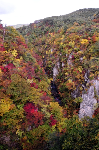 d0179113_21374940.jpg
