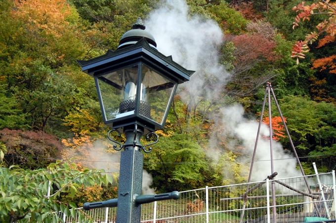 d0179113_22145631.jpg