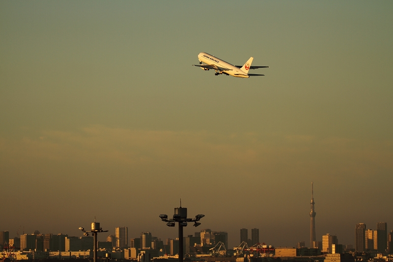 　　　羽田ＡＩＲＰＯＲＴ_a0159414_1231034.jpg