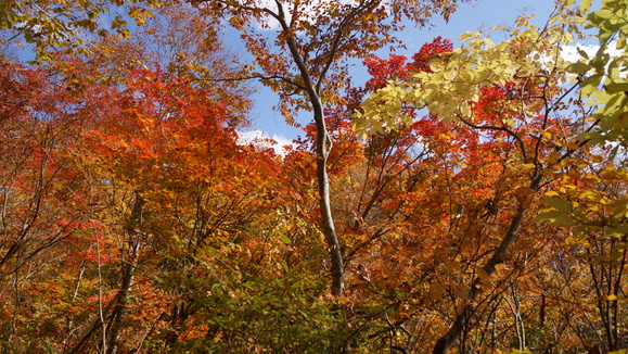 f0233414_2152642.jpg