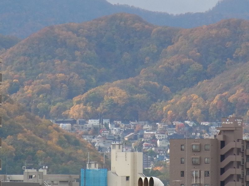 秋一色 (平地から山へ)_c0025115_195302.jpg