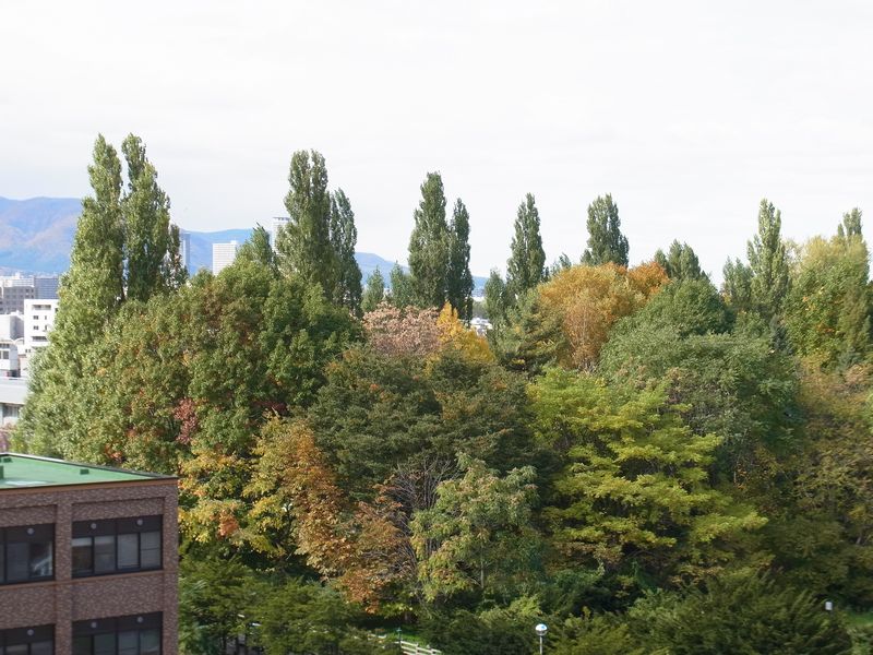 秋一色 (平地から山へ)_c0025115_1953957.jpg