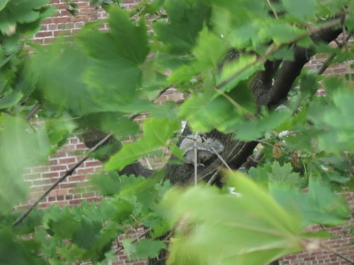 c0120817_013350.jpg
