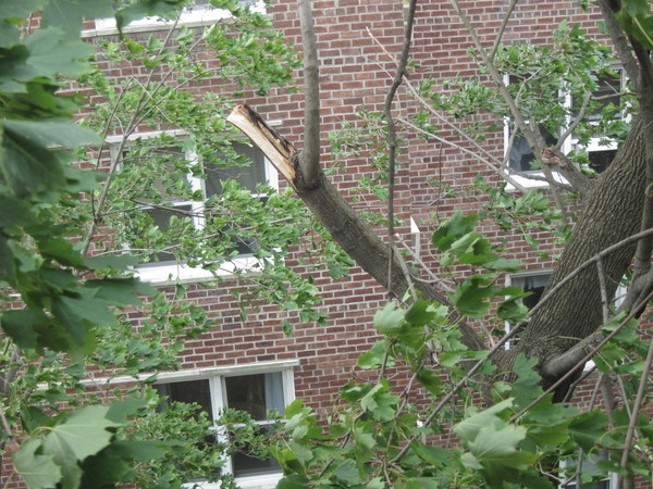 c0120817_18849.jpg