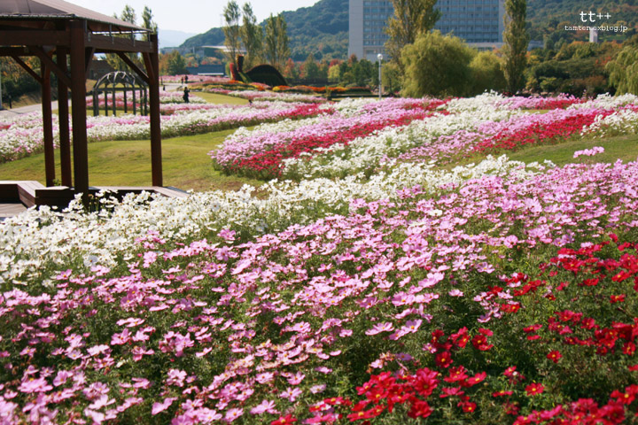 国営明石海峡公園＠淡路_b0286519_223415.jpg