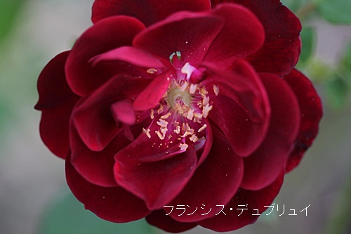 a0067720_2261115.jpg