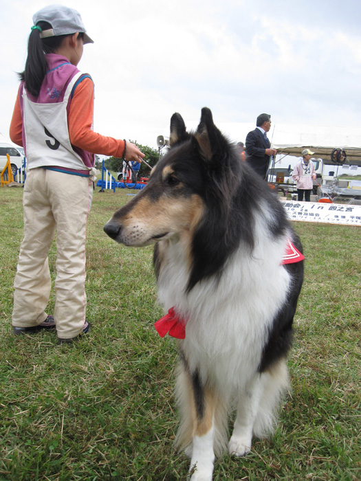 第３回犬の大運動会in四之宮_e0244621_03529100.jpg