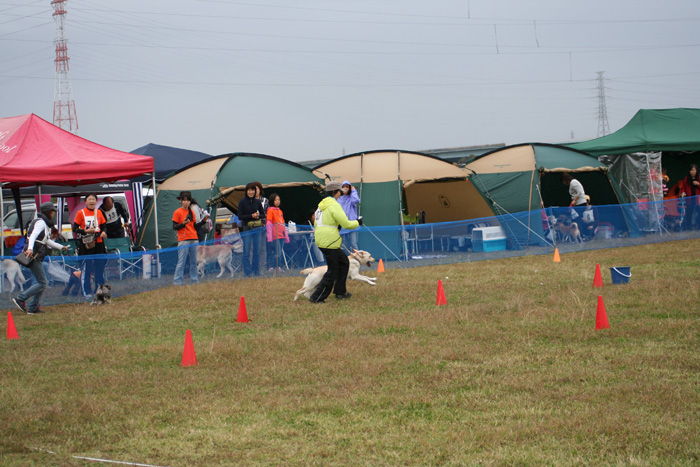 e0244621_036631.jpg
