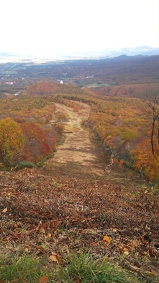 c0109828_1603833.jpg