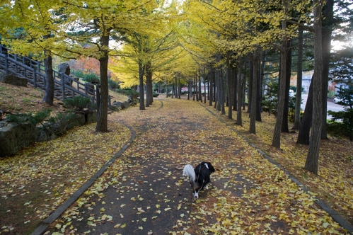 西岡公園へ_c0051132_19155410.jpg