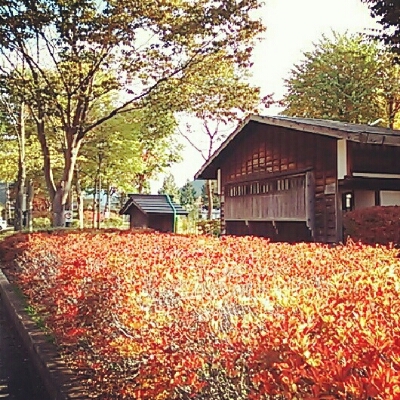 f0238332_1030365.jpg