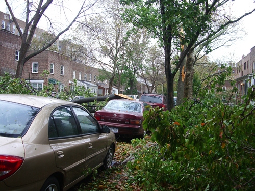 Hurricane Sandy_c0064534_6274440.jpg