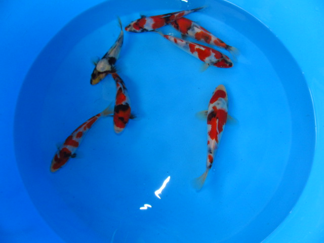 f0214235_14251.jpg
