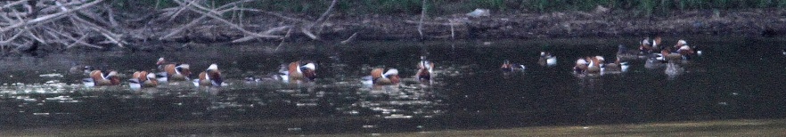 c0172139_22165979.jpg