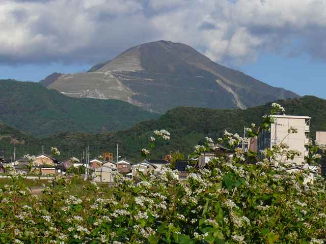 f0089748_21562079.jpg