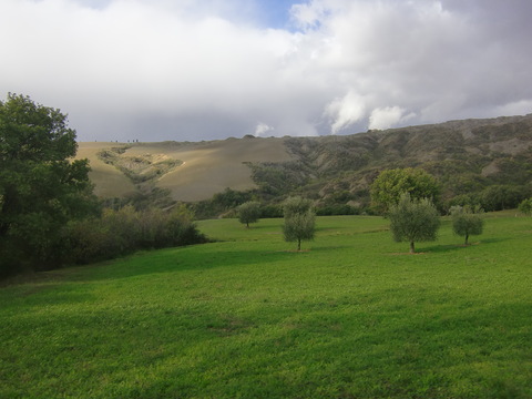 c0206352_0325065.jpg