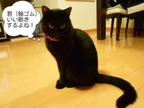 d0170555_23494036.png