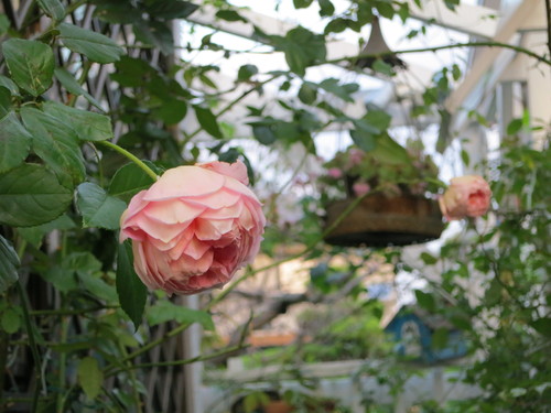 d0231057_21332299.jpg