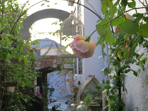 d0231057_21342212.jpg