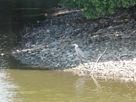 c0108460_1621397.jpg
