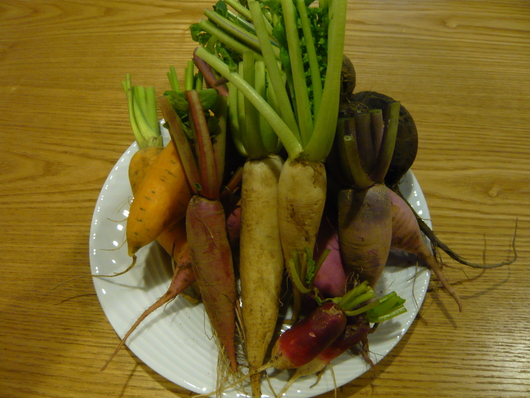根菜アンサンブル!!_e0237660_21263753.jpg