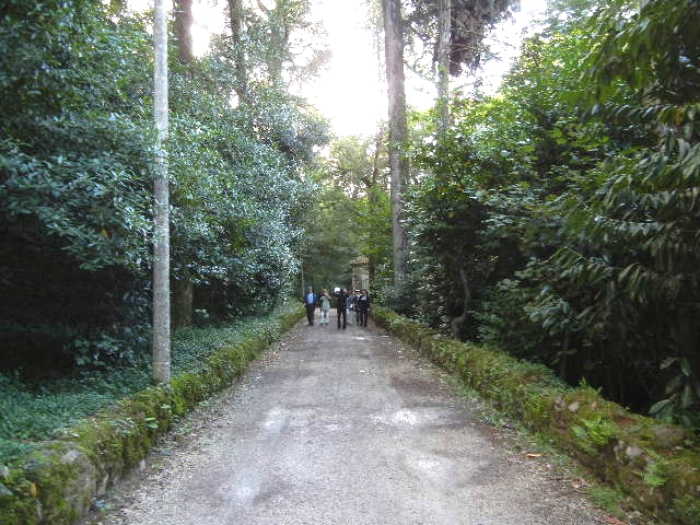 ’12,10,31(水)ポルトガル旅行4日目②ブサコパレス_f0060461_11551422.jpg