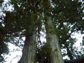 d0045362_23162814.jpg