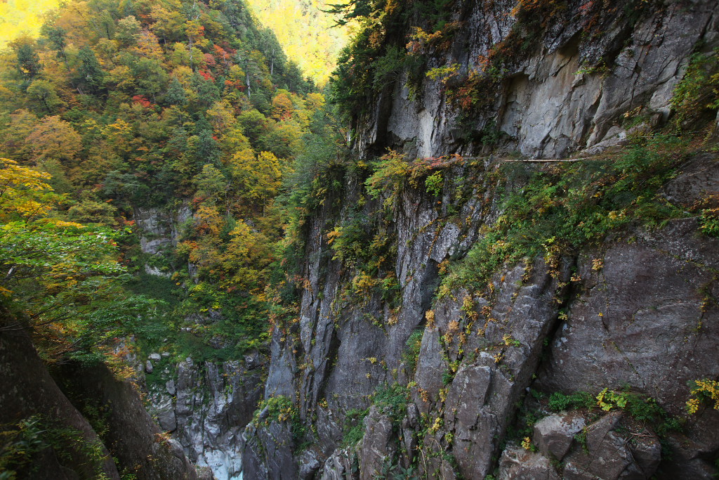 f0171065_21582180.jpg