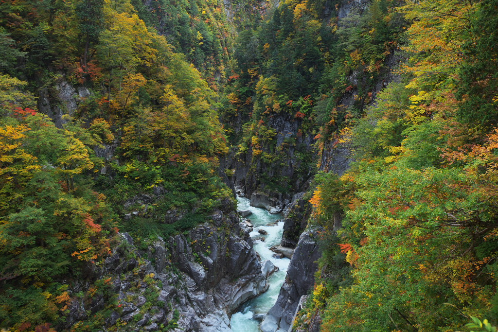f0171065_221307.jpg