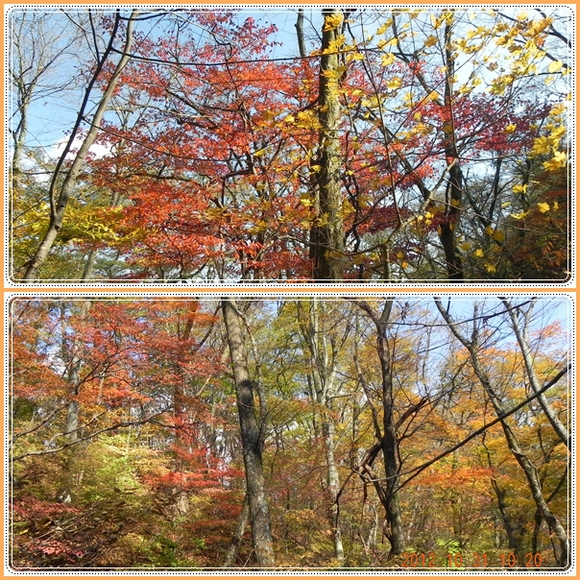 九重のラスト紅葉・・・平治岳山麓、男池の紅葉。_f0016066_2333487.jpg