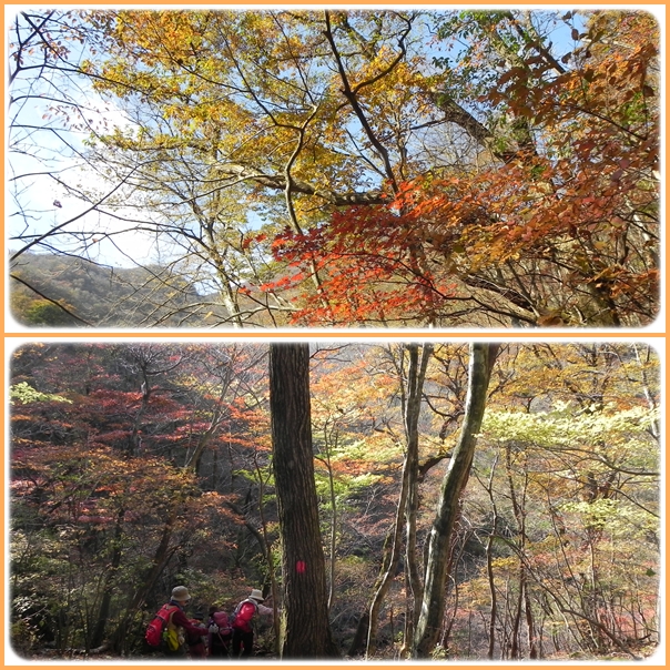 九重のラスト紅葉・・・平治岳山麓、男池の紅葉。_f0016066_2345454.jpg