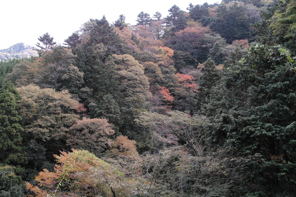 b0272368_16542098.jpg